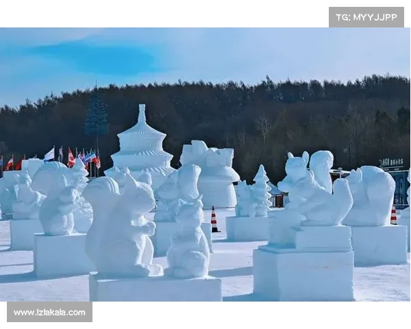 长春举办国际赛事—长春举办国际赛事的地方